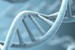 一键解决问题的服务器攻击软件